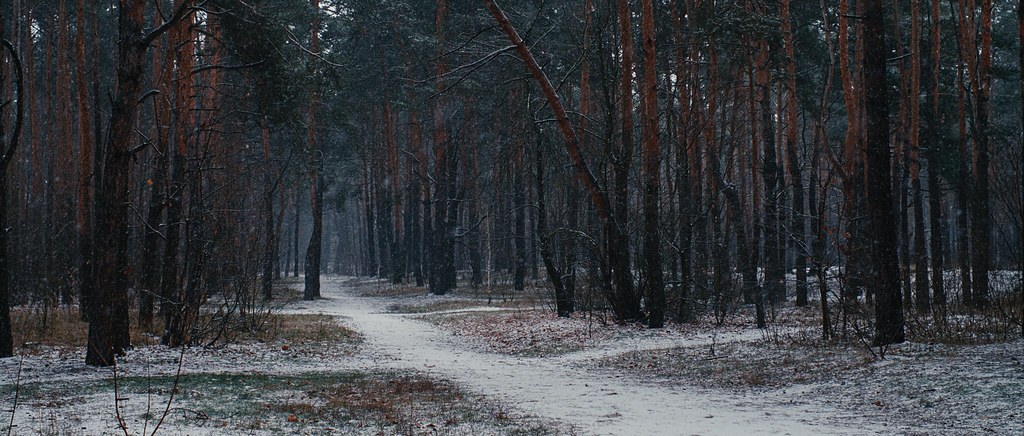 Ерофеев день